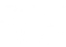 Kulturalnie o SEO